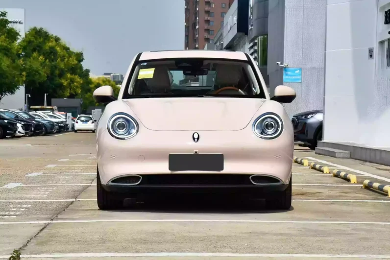 
								GWM Ora Funky Cat full									