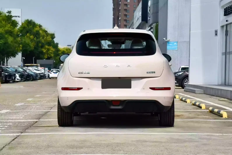 
								GWM Ora Funky Cat full									