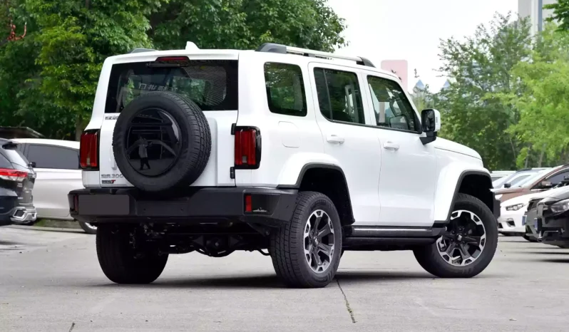 
								GWM Tank 300 Hi4-T full									