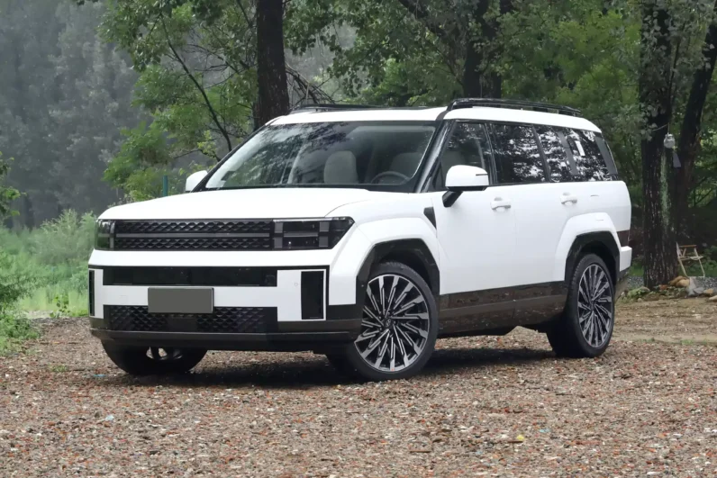 
								Hyundai Santa Fe full									