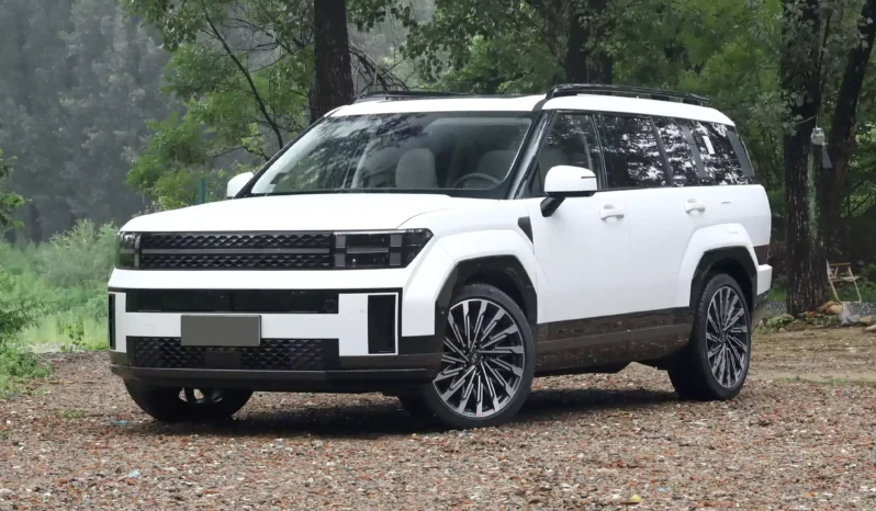 
								Hyundai Santa Fe full									