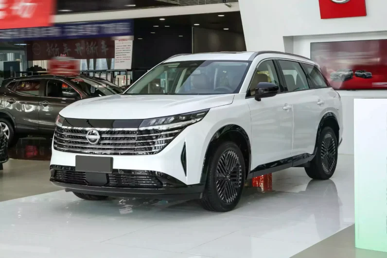 
								Nissan Pathfinder full									