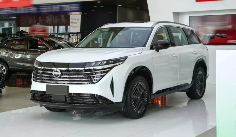 
								Nissan Pathfinder full									