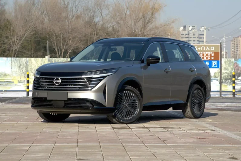 
								Nissan Pathfinder full									